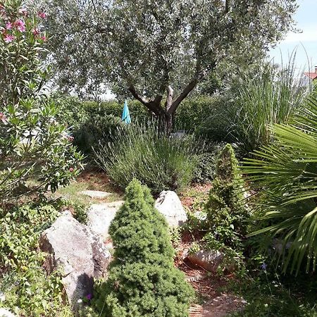 Ana Marija Apartments Poreč Buitenkant foto