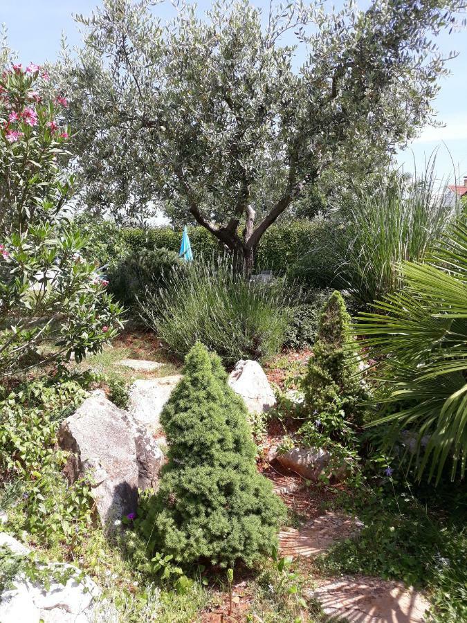Ana Marija Apartments Poreč Buitenkant foto
